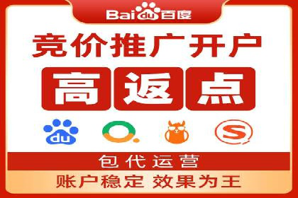 竞价推广公司案例揭秘：如何利用数据分析提升广告效果